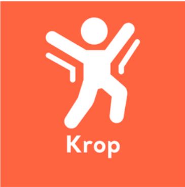 Kroppen, repræsentationsform