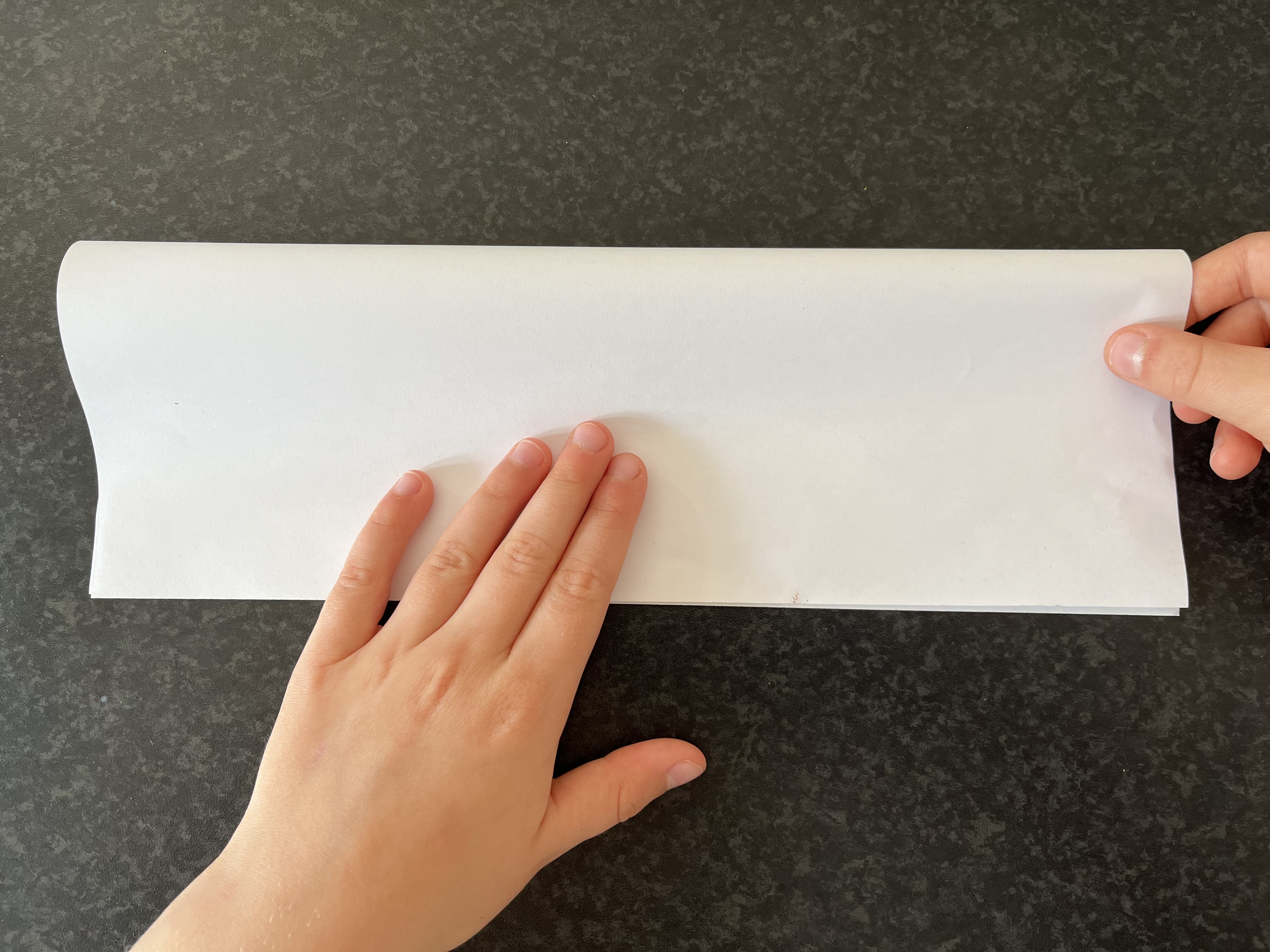 Trin 2: Fold papiret én gang på midten, så du har et langt, smalt rektangel.